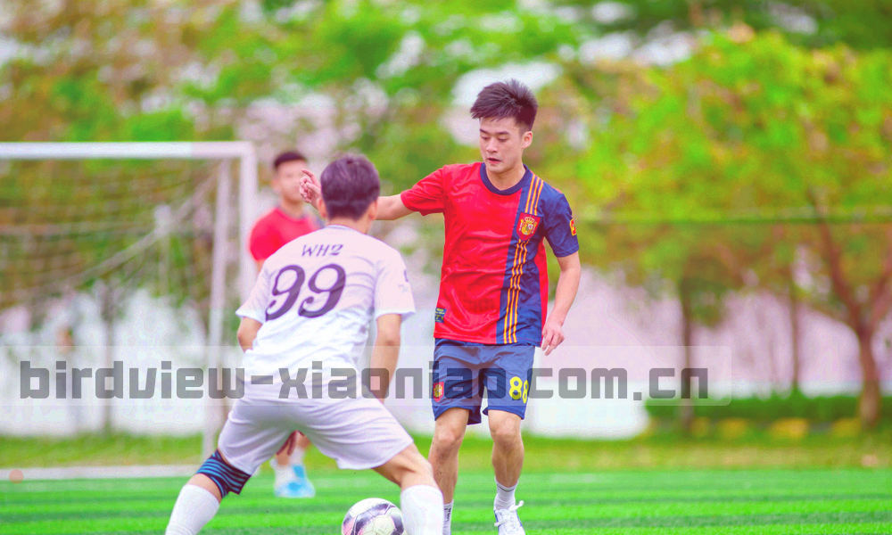 低压等高线与晨光渐变构成的抽象地域图形，呼应四川运营背景